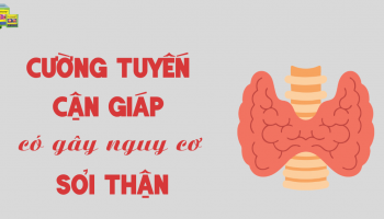 BỆNH CƯỜNG TUYẾN CẬN GIÁP – YẾU TỐ NGUY CƠ ÍT BIẾT CỦA SỎI THẬN