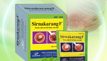 SỎI ĐƯỜNG TIẾT NIỆU Ở BỆNH NHÂN CÓ BÀNG QUANG DO NGUYÊN NHÂN THẦN KINH